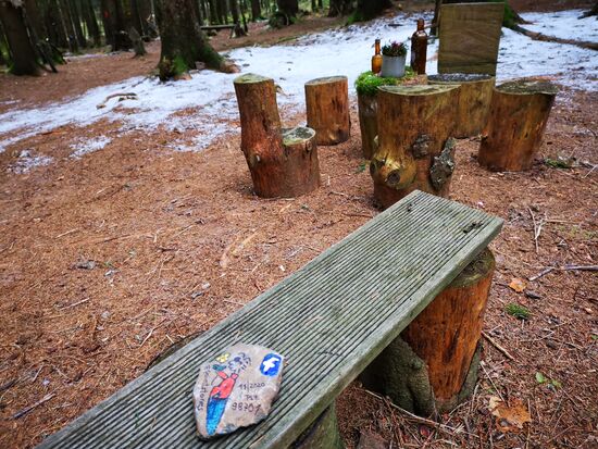 MÄNNCHEN mit BLUME - ausgewildert am 29.11.2020 im Hexenwäldchen bei Neustadt am Rennsteig