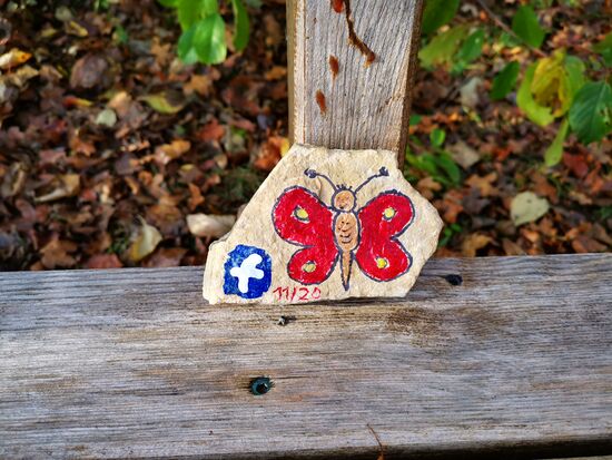 15.11.2020 SCHMETTERLING gemalt in Thüringen - ausgewildert am Igelsbachsee Fränkisches Seenland