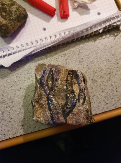 28.11.2020: gemalt von meiner Besucherin Julia, ein durchaus imPOsanter Stein 