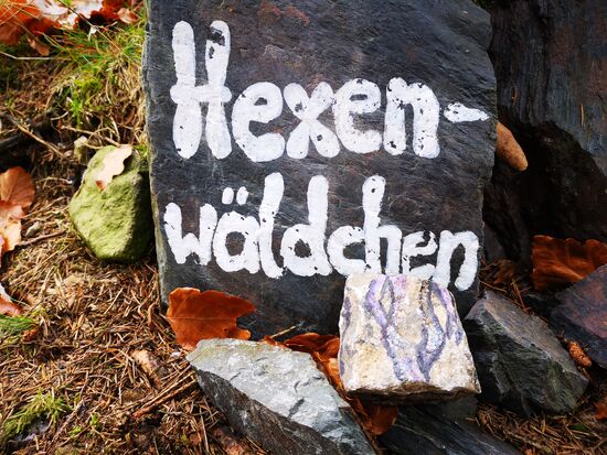 ausgewildert im Hexenwäldchen bei Neustadt am Rennsteig