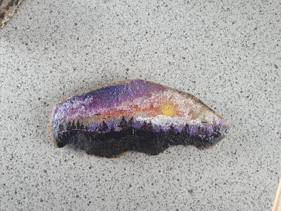 wunderschön gemalt - auch von Julia - ebenfalls im Hexenwäldchen ausgewildert - viel Spaß beim Suchen/Finden/ auf facebook (https://www.facebook.com/groups/474226949996751) posten und erneut auswildern!