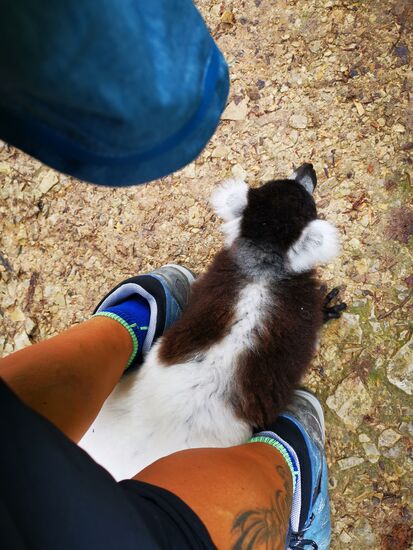 hier werden erst einmal meine Füße erkundet