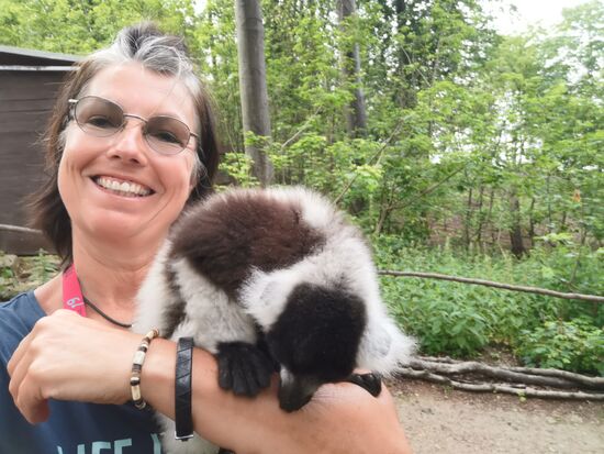 nicht lange, dann wird der Arm untersucht und ausgiebig abgeleckt 