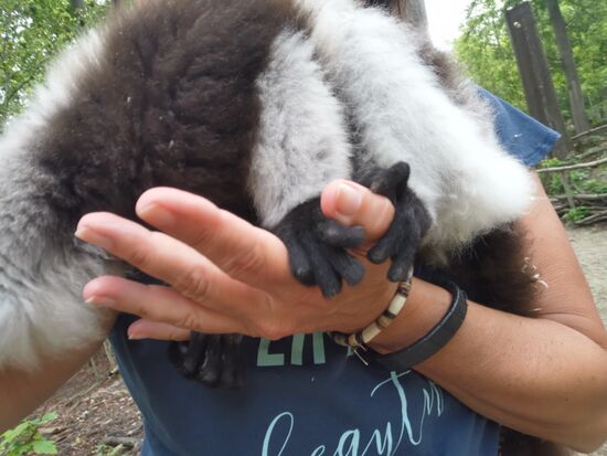 Pfötchen fühlen sich an wie weiches Veloursleder.