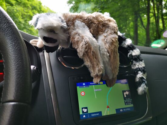 ups... einer hat es dann doch bis in mein Auto geschafft 