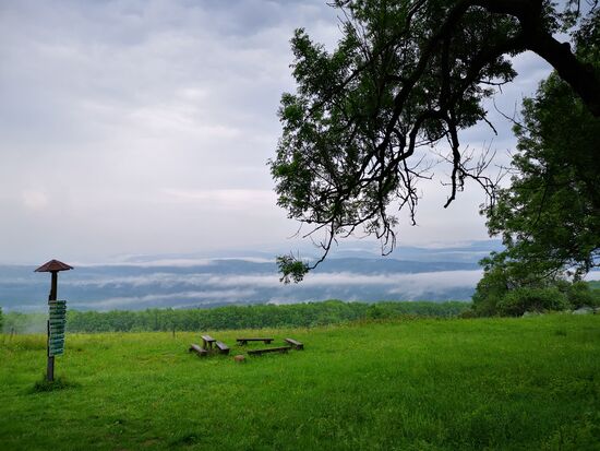 Thüringer Wald mit dekorativen Nebelfetzen