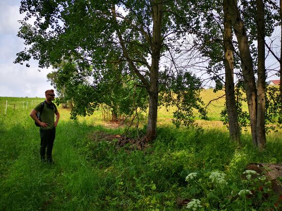 vorbei an Kuhweiden ... 2 mal sogar - siehe Text 