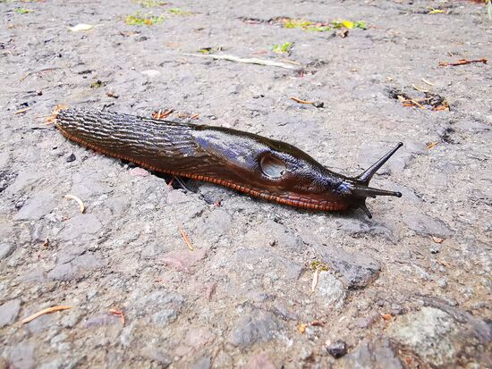 manchmal ist es gut, Geschwindigkeit rauszunehmen 