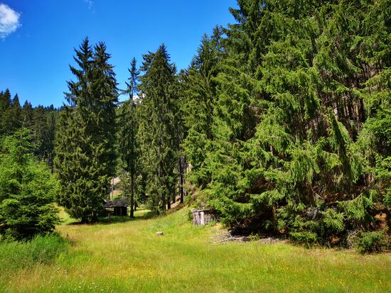 diese Ansicht könnte fast aus dem Schwarzwald sein 