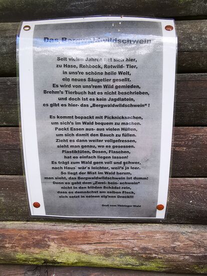 Das "Bergwaldwildschwein"  - ja leider ist die Natur immer wieder mit Zigarettenkippen und sonstigem Müll verunstaltet.