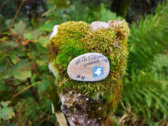 eine witzige Idee: Steine bemalen und "auswildern" - siehe Bericht