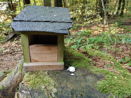 Vielleicht war das rätselhafte Essen ja ein Ei? Dann ist mir hier wohl jemand zuvor gekommen 