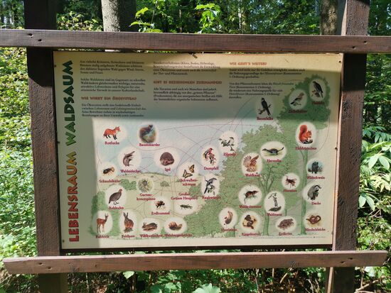 Und wer wissbegierig ist, findet viele Infotafeln zu verschiedensten Themen aus Flora, Fauna und Region.