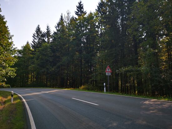 Dann habe ich den offiziellen Wanderweg irgendwie verloren ...