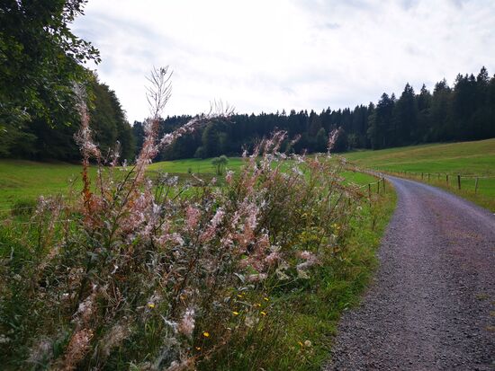 aber es geht immer irgendwie weiter...