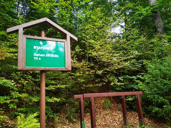 waas??? "10 x gehen im Stütz" ... nö, ich bin froh, wenn ich auf meinen Beinen gehe..