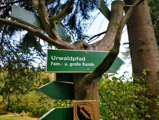 oha, ich bin also im Urwald gelandet...