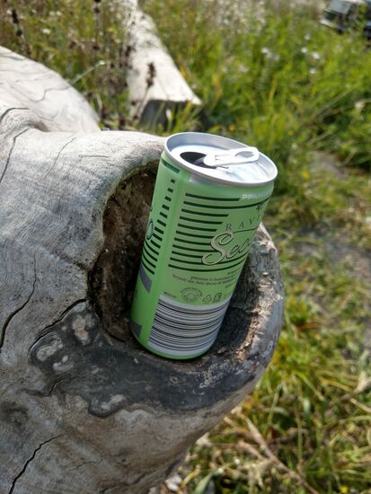 Ein Baumstamm mit Dosenhalter 