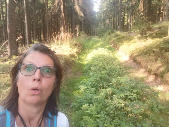 oha - Tante Google schickt mich auf einen wenig genutzten Wanderweg