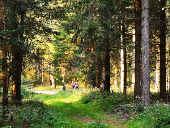 ZIVILISATION in Sicht....