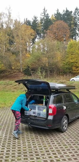 Wanderparkplatz unterhalb vom CP am Waldbad