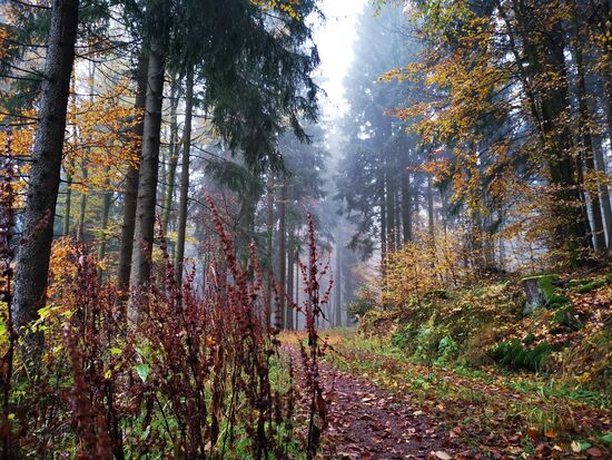 und dann wird es nebelig