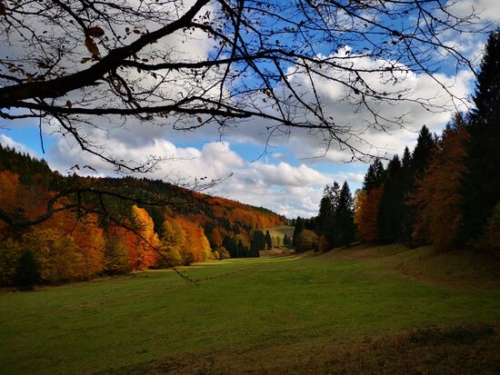 perfekte Herbstfarben