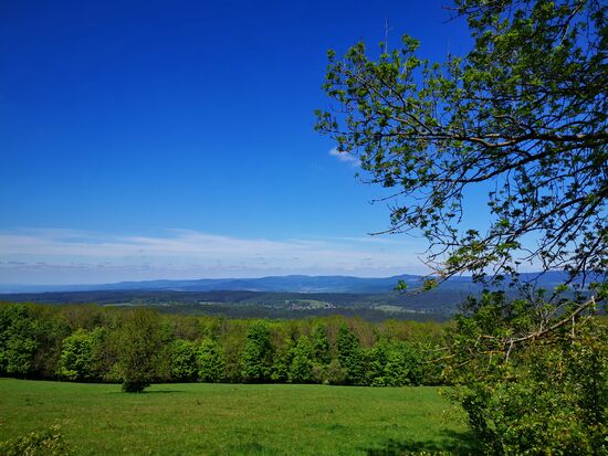 Blick auf den Rennsteig