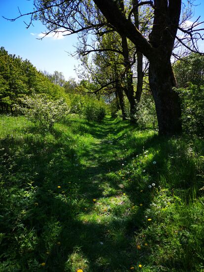 und dann einer steiler Abstieg wieder Richtung Flugplatz