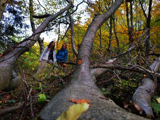 und überall Naturwald, nicht einfach zu laufen, aber interessant und abwechslungsreich
