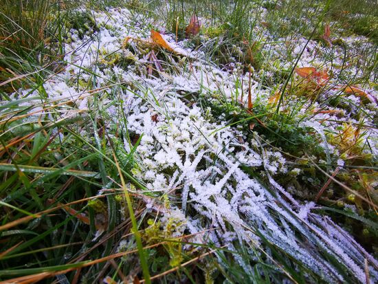 erste Winterimpressionen