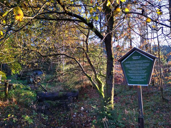 kurz vor 16 h dann an der Viehtränke "Rupprasen" - ein Ende der Wanderung ist absehbar