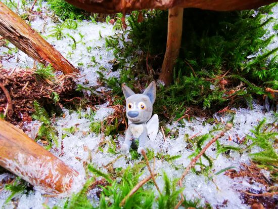 ... unter dem Pilz ...