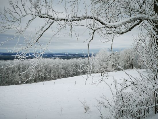 Blick Richtung Rennsteig