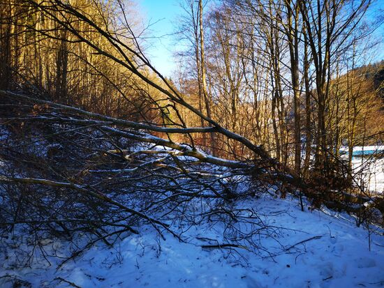 erschwerte Bedingungen auch durch umgestürzte Bäume