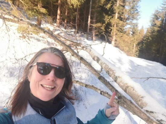 jaja, die Sache mit den Bäumen, die den Schneelasten nicht standhielten ...