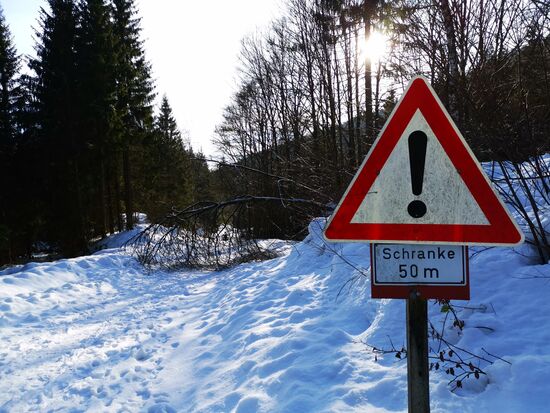 umgefallener Baum mit Schild 