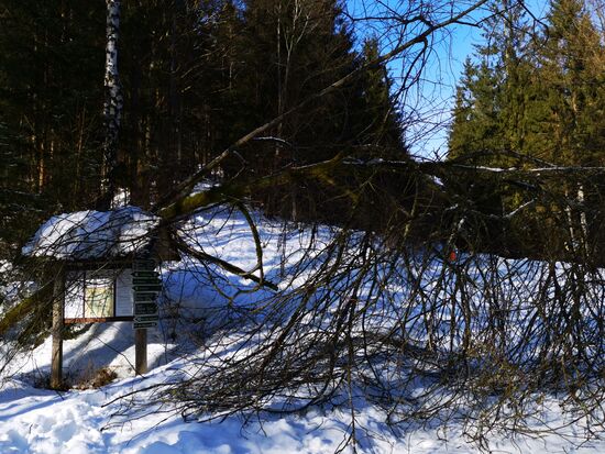 aber irgendwie ist immer ein Durchkommen...auch ganz zum Schluss