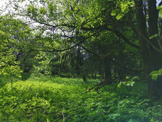 Natur PUR