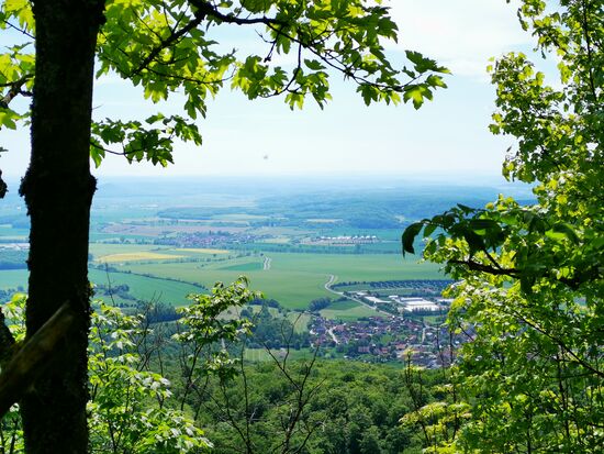 FRANKENBLICK