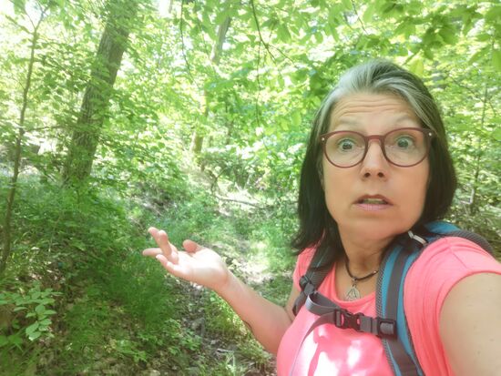 mal wieder die Nummer "ich glaub, ich steh' im Wald"