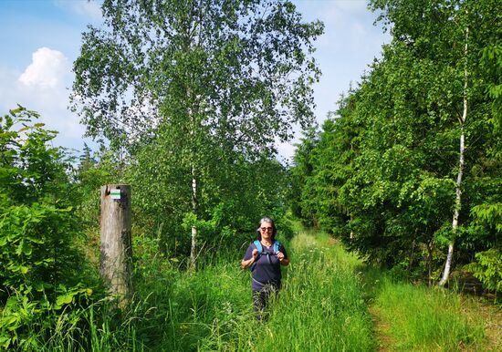 ... der wohl lange nicht belaufen wurde, so hoch wie das Gras hier ist....