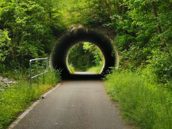 hier laufen wir ein paar Kilometer auf dem Radweg Saalburg - Schleiz