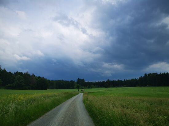 wieder ein ganz anderer Weg