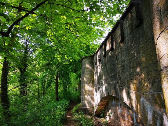 Lange Hosenbeine sind hilfreich, der kleine Trampelpfad ist gesäumt von Brennnesseln.