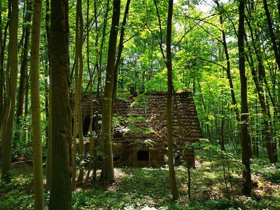 Im Waldstück zwischen Burg und Parkplatz findet man dieses verfallene Gebäude.