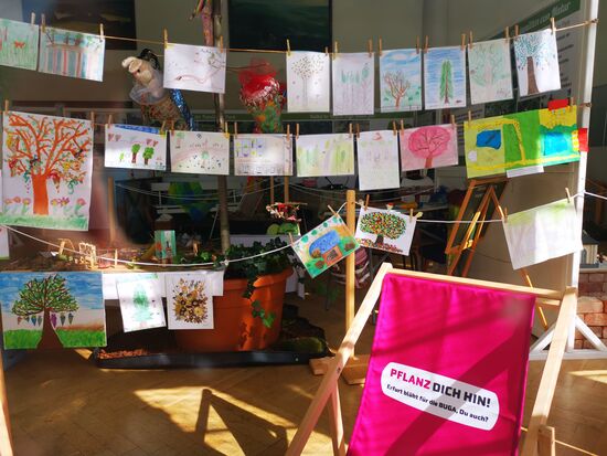 derzeit Ausstellungen zum Schlosspark und dem Botaniker Alwin Berger, geöffnet sonntags 14-18 Uhr