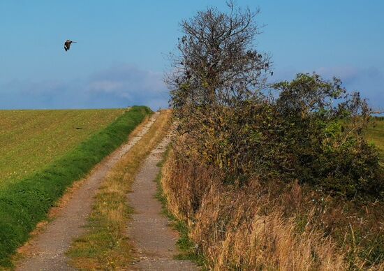 Vielleicht war ja dieser "Luftikus" für die zwei Leichen verantwortlich?