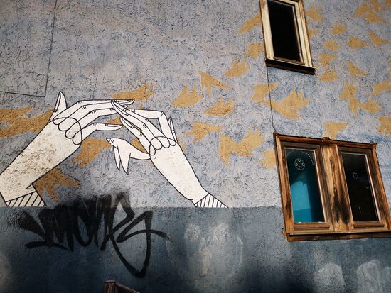 "The Flock Of Birds" von KNOWHOPE
05.09.2014
Näherstiller Straße
http://wallcome.de/flock-birds-know-hope/
auf ehemaliger jüdischer Schule - Gebäude und Kunstwerk sind schon ziemlich marode