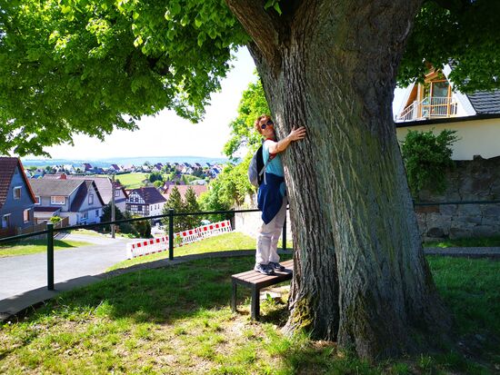 es gibt Bäume, die lassen sich nicht umarmen 